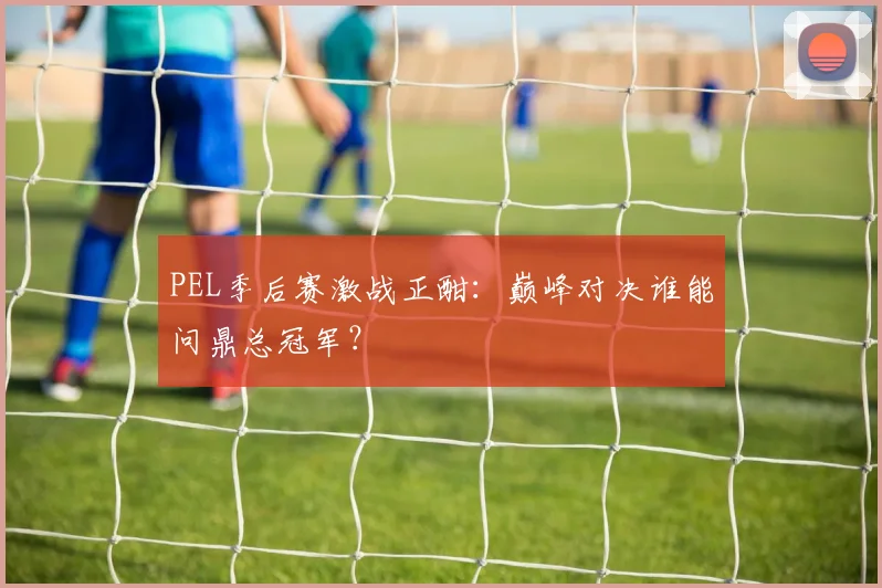PEL季后赛激战正酣：巅峰对决谁能问鼎总冠军？