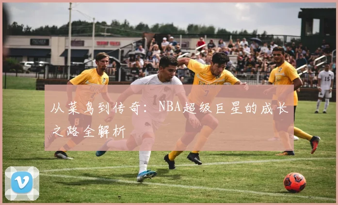 从菜鸟到传奇：NBA超级巨星的成长之路全解析